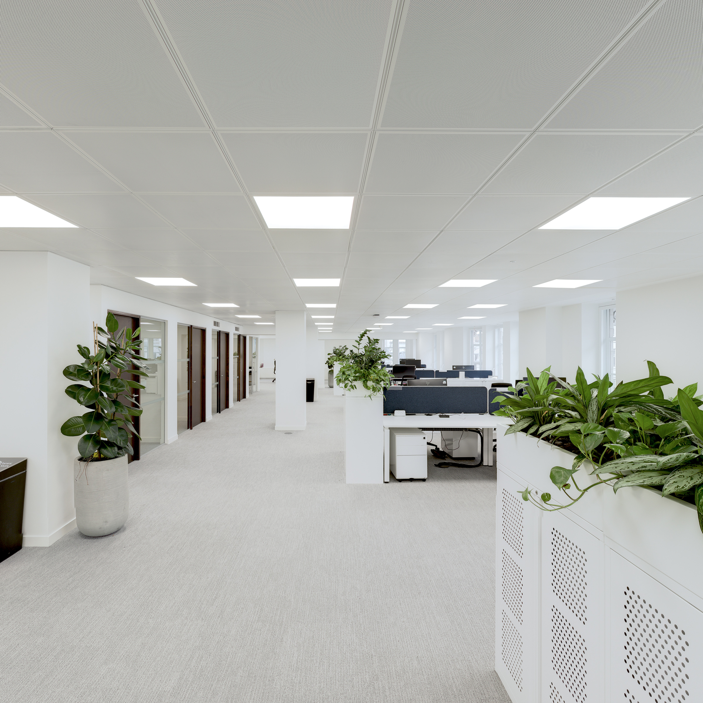 See more CGIs of 7 Savoy Court...